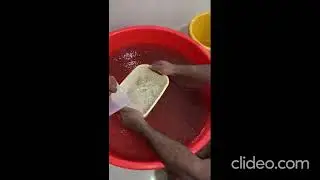 Canabalism management of murrel fish spawn.