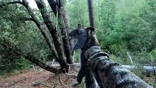 Team LAZY Hunting Squirrels catch clean and cook (9-28-2025)