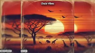 qyopy - Ayoba Nights (Official Audio)