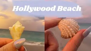 Shelling at Hollywood Beach and a beautiful sunset!