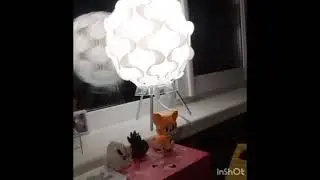 Мой вечерний VLOG 😜🧐
