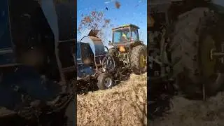Сбор урожая пекана