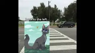 Cinderpelt when she permanently injured her leg on the thunderpath 