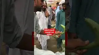 Today sabzi mandii rates in layyah kot sultan  #youtubeshorts