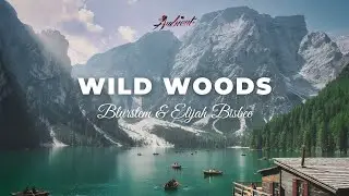 Blurstem & Elijah Bisbee - Wild Woods [relaxing inspiring ambient]