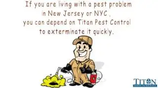 Titan Pest Control - Same Day Pest Control Service NYC & NJ