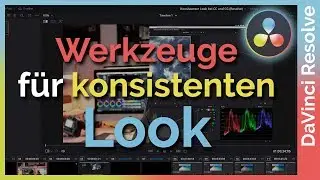 Konsistenter Look in DaVinci Resolve (deutsch/german)