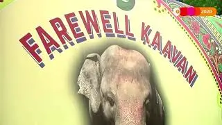Lonely elephant to join herd in Cambodia