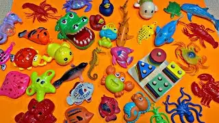 🐙 ASMR_Video * Plastic Sea Animals Figure I Animals Toys Collection I No Talking *