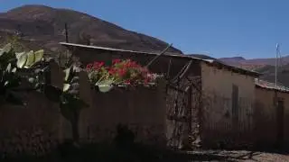 Vida Humana en el desierto: Precordillera de Arica.