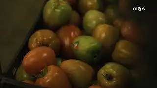 Vídeo Institucional MARL - Mercado Abastecedor da Região de Lisboa