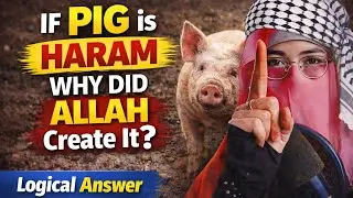 If Pig Is Haram, Why Did Allah Create It? | Powerful Islamic Answer | Eliza Deeni Reacts 