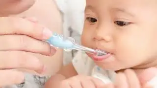 Early Dental Care Guide