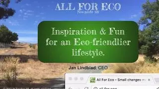 All For Eco Activist Presentation