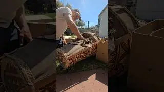 Sticking your hand into a hive of 20k bees is not for the faint of heart 😬🐝 #bee #animals #wildlife
