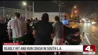 Deadly hit-and-run crash in South LA