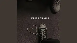 WHITE TULIPS