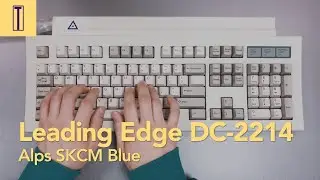 Leading Edge DC-2214 Keyboard Typing (Alps SKCM Blue switch) 리딩엣지 알프스 청축 키보드 타건