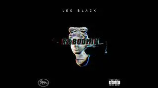Leo Black - Riviera 31