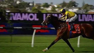 Gr.1 Livamol Classic - Waitak