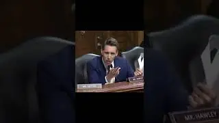 Sen Hawley was stunned as Hon  Robinson compared a box cutter to a pillow in defense of a criminal