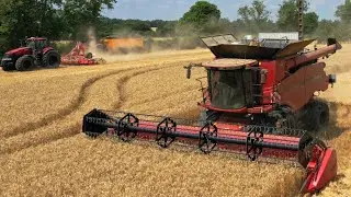 Moisson du Bl&eacute; 2019 Full CASE IH &agrave; Jantes noires |  AXIAL 7240 | Optum 250 |  Magnum 380