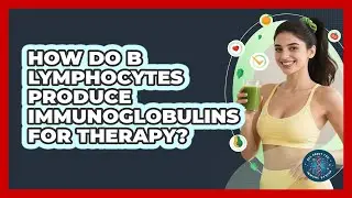 How Do B Lymphocytes Produce Immunoglobulins For Therapy? - All About the Immune System