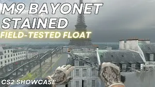 M9 Bayonet Stained (Field-Tested) | CS2 Skin Showcase #1460