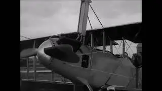 Standard J-1
