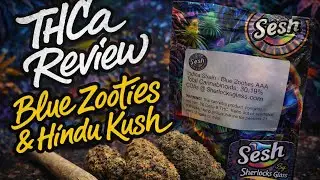 Sherlocks Glass THCa Review | Blue Zooties, Hindu Kush & Real Life Talk #SherlocksGlass