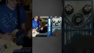 @EarthQuakerDevices Aqueduct in Envelope Pitch Mode #riffs