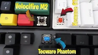 Outemu Brown Red or Blue Switches and Typing Sound #Shorts