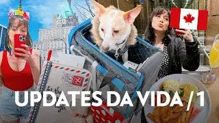 VIDA no CANADÁ: últimos dias em Vancouver, festa do Link e viagem para Montreal // EP06 (2023) 🇨🇦