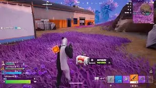 Fortnite_20251214233633