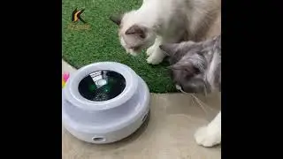 Smart Auto Interactive Toy For Indoor Cats With Colorful Breathing Light-KLJSHOP