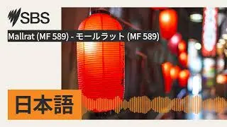 Mallrat (MF 589) - モールラット (MF 589) | SBS Japanese - SBSの日本語放送