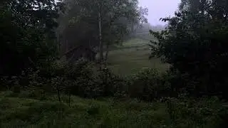 Ambience - Metasoma