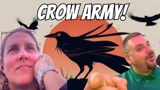 Is this corvid rehabilitator starting a crow army? 🐦&zwj;⬛