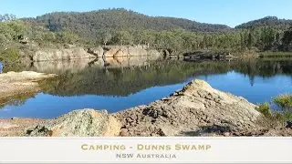 Bush Walk Dunns Swamp