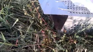 VIDEO0069