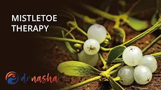 Mistletoe Therapy