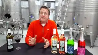 Wine Wisdom: The State of Wine