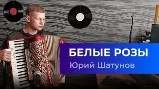 АККОРДЕОН. БЕЛЫЕ РОЗЫ [Юрий Шатунов. Ласковый Май. Кавер] Accordion Cover. Аккордеонист / Баянист