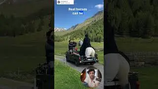Раскрыты секреты лошадей из фильмов 🐎✨ | Магия за кулисами