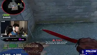 tarik 1000qi