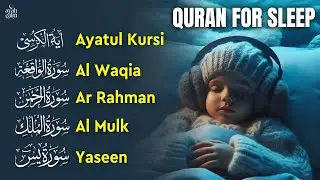 Uyqu uchun Qur’on | Tinchlantiruvchi tilovat | Oyat Kursiy, Yasin, Arrahmon, Alaa Aqel
