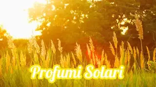 Profumi Solari #profumo #profumi #profumizio #profumidinicchia #profumilowcost #profumisolari 