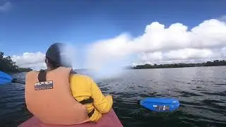 Bogarts Kayak Adventure