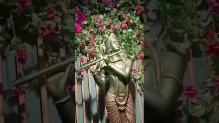 Jai Shree Krishna 🙏🏻🙏🏻❤️ #youtubeshorts #hindugod #shortsvideo #song #shreekrishna