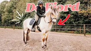 CAN a Fjord do DRESSAGE?! || Equitality Breed Tour episode 2